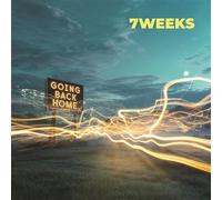 Going Back Home Vinyle