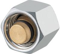 GOK Blind Bouchon RVS avec écrou prisonnier type BSL