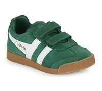 Gola Baskets basses enfant HARRIER VELCRO in Vert 35
