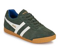 Gola Baskets basses Harrier in Kaki 45