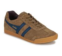 Gola Baskets basses HARRIER in Marron 46