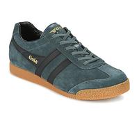 Gola Baskets basses HARRIER in Vert 44