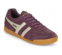 Gola Baskets basses HARRIER MIRROR in Marron 37