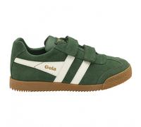 Gola Baskets basses enfant HARRIER VELCRO in Vert 31