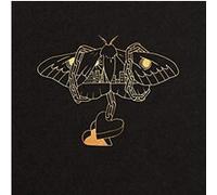 David Gray - Gold in a Brass Age