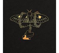 DAVID GRAY - GOLD IN A BRASS AGE (2LP) 2 VINYL LP NEUF