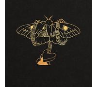 DAVID GRAY - GOLD IN A BRASS AGE (2LP) 2 VINYL LP NEUF