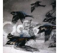 Gold Medalists - City Lights Us on Fire [Import]