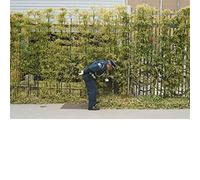 Gold Panda - Good Luck and Do Your Best by Gold Panda