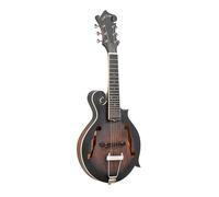GOLD TONE F-6 Guitare-Mandoline