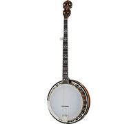 Gold Tone Gold Tone BG-150F Banjo
