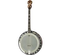 Gold Tone Gold Tone IT-250-F Irish Tenor Banjo w/C