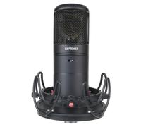 Golden Age Audio Golden Age Audio Premier GA-8000