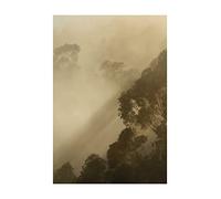Golden Light - Dimensions : 50 x 70 cm - Comar - Tableau mural - Poster imprimé (sans cadre), PURE Boutique