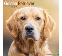 Golden Retriever 2027 Calendar | Square Wall Calendar | Dog Breed Gift | Plastic Free Packaging | by Avonside Publishing