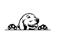 Golden Retriever Autocollant imperméable réfléchissant amusant chien Peeking décoration pour ordinateur portable, réfrigérateur, voiture, pare-chocs, fenêtre (15 cm)