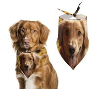 Golden Retriever Bandana triangulaire lavable en forme de tournesol pour chiens et chats