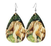 Golden Retriever Boucles d'oreilles en cuir en forme de goutte d'eau pour femme - Boucles d'oreilles pendantes légères en PVC avec crochets en argent 925, imprimés double face | Cadeau