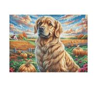 Golden Retriever Champ de citrouilles Animal de Compagnie Mignon Faune Sauvage Wild Puzzle 500 Pièces pour Adultes Amusant Stimulant Et Relaxant Parfait pour Hobby Et Moments en Famille 500 PCS（52×