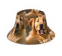 Golden Retriever Chapeau de pêcheur double face réfléchissant pour chien, chiot, animal domestique, plein air, voyage, plage, chapeau de soleil, toutes saisons, unisexe