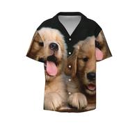 Golden Retriever Chemise décontractée à manches courtes pour homme Motif chiens chiots, Noir , M