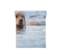Golden Retriever Chiens Flottants Animaux Labrador, Sac de Rangement pour Femmes, Portefeuille supérieur à Presser, Petit Porte-Monnaie, Pochette de Changement