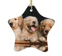 Golden Retriever - Décoration chrétienne en forme d'étoile en céramique avec ficelle - Motif chiens et chiots