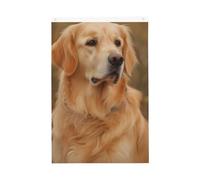 Golden Retriever Drapeau de jardin bienvenue 0,6 x 0,9 m, ne se décolore pas, drapeau double face, bannière extérieure pour cour, porche, pelouse