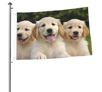 Golden Retriever Drapeaux pour extérieur 6,1 x 91,4 cm, drapeau de jardin saisonnier double face avec œillets, drapeau d'extérieur pour décoration de maison, toile de fond pour photo