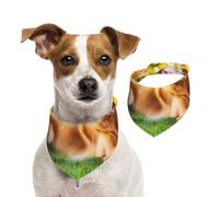 Golden Retriever Écharpe pour animal domestique - Bandanas pour chien - Pour le printemps et l'été - En coton doux - Accessoires réglables pour petites, moyennes et grandes tailles