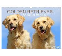 Golden Retriever ein treuer Begleiter (Wandkalender 2026 DIN A3 quer), CALVENDO Monatskalender: Golden Retriever begleiten Sie durch das Jahr