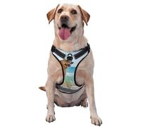Golden Retriever,Harnais pour Animaux de Compagnie, Harnais réfléchissant réglable pour Chien,XL