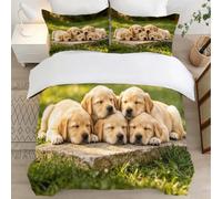 Golden Retriever Housse de Couette 140x200 Parures de Lit 1 Personne Imprimé 3D Microfibre Douce Animaux Mignons et Animaux de Compagnie Housses Couette avec 2 Taies d'oreiller et Fermeture l.740