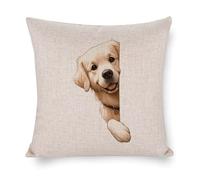 Golden Retriever Housse de coussin carrée avec motif chien qui regarde un coin autour du coin - Pour bureau, salon, chambre à coucher, voiture, chaise basse - Décoration d'intérieur - 61 x 61 cm