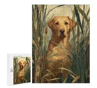 Golden Retriever in Tall Grass Puzzle 500 Pièces Educa Jouet en Bois Cadeau Unique Décoration Intérieure Jeu Éducatif Challenge Toy Adultes Et Enfants À Partir De 14 Ans 500 PCS
