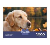 Golden Retriever Jeu De Puzzle Chien 1000 Éléments Papier pour Experts Résistant À La Déchirure Challenge Difficile Nouveau Modèle Exclusif 38x26cm/1000pcs