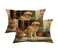 Golden Retriever Lot de 2 housses de coussin décoratives pour extérieur, motif floral coloré pour printemps, ferme, maison, canapé, lit, canapé, 50,8 x 30,5 cm