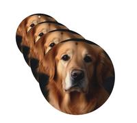 Golden retriever Lot de 4 cartes de désodorisants de voiture personnalisées pour homme et femme - Tablettes d'aromathérapie à suspendre - Cartes parfumées pour armoire de salle de bain