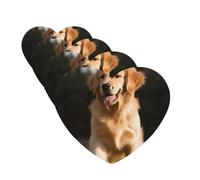 Golden Retriever Lot de 4 cartes de désodorisants de voiture personnalisés pour homme et femme - Tablettes d'aromathérapie à suspendre - Cartes parfumées pour armoire de salle de bain