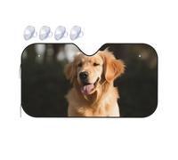 Golden Retriever Pare-soleil de voiture pliable pour pare-brise de voiture 2025 - Pare-soleil de voiture amusant pour fenêtre avant - Protection solaire intérieure de voiture - Taille S