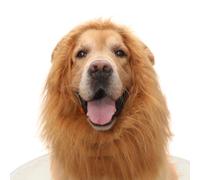Golden Retriever Perruque avec tête de lion pour chien et chat