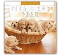 Golden Retriever Puppies 2026 Square Wall Calendar