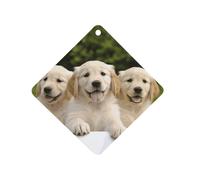 Golden Retriever Puppies Désodorisant de voiture à suspendre, tablettes d'aromathérapie parfumées longue durée, cartes parfumées au losange pour véhicules, chambre à coucher, armoire, style blanc