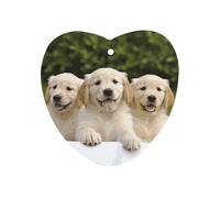 Golden Retriever Puppies Désodorisant de voiture à suspendre, tablettes d'aromathérapie parfumées longue durée, cartes parfumées pour véhicules, chambre à coucher, armoire, style noir