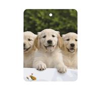 Golden Retriever Puppies Désodorisant de voiture à suspendre, tablettes d'aromathérapie parfumées longue durée, cartes parfumées carrées pour véhicules, chambre à coucher, armoire, style gris
