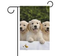 Golden Retriever Puppies Drapeau de jardin d'été double face 30,5 x 45,7 cm Drapeaux de jardin Printemps Soleil Drapeaux de jardin saisonnier Décoration d'extérieur