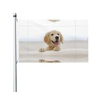 Golden Retriever Puppies Drapeau de jardin double face à motif de chiots décoratifs pour fêtes, porches, etc.