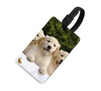 Golden Retriever Puppies - Étiquettes de bagage avec carte d'information, housse de protection d'identité pour voyage, étiquettes de bagage légères pour voler, porte-étiquettes de valises pour hôtel