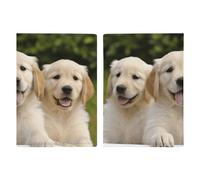 Golden Retriever Puppies Étui de passeport de voyage avec emplacements pour cartes de crédit et fente pour carte d'embarquement pour voyage, carte d'identité familiale (20,3 x 13,7 cm)