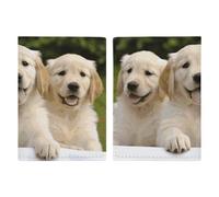 Golden Retriever Puppies - Porte-passeport avec fente pour cartes et billets, étui de passeport en cuir synthétique facile d'accès - Organiseur de documents essentiels de voyage imperméable pour homme